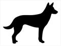 Dingo silhouette vector art white background