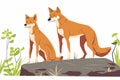 dingos on a rock isolated vector style Royalty Free Stock Photo
