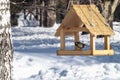 The dining room for birds