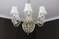 Dining Room Chandelier