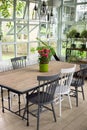 Dining room interior with table, chairs and plants against big w Royalty Free Stock Photo