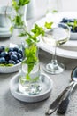 Dining room table decorated with small vase with ivy. Place setting with plates and bowl with blueberries and glass of wine Royalty Free Stock Photo