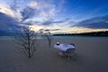 Dining table on the beach Royalty Free Stock Photo