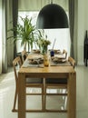 Dining table and comfortable chairs in modern home