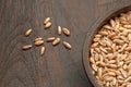 Dinkel wheat Royalty Free Stock Photo