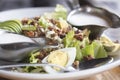 Dinner Cobb Salad made with romaine lettuce Royalty Free Stock Photo