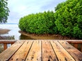 Dinner at forest,  perspective background Royalty Free Stock Photo