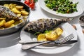 Dinner with grilled sea bream fish, arugula salad with tomatoes, baked potatoes. White background. top view Royalty Free Stock Photo