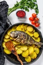 Dinner with grilled sea bream fish, arugula salad with tomatoes, baked potatoes. White background. top view Royalty Free Stock Photo