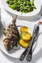 Dinner with grilled sea bream fish, arugula salad with tomatoes, baked potatoes. White background. top view Royalty Free Stock Photo