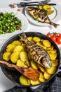 Dinner with grilled sea bream fish, arugula salad with tomatoes, baked potatoes. White background. top view Royalty Free Stock Photo