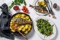 Dinner with grilled sea bream fish, arugula salad with tomatoes, baked potatoes. White background. top view Royalty Free Stock Photo