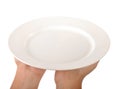 Dinner plate