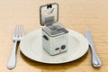 Dinner plate with deep fryer, 3D rendering Royalty Free Stock Photo
