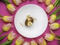 dinner plate with gold easter egg, bow, tulips Royalty Free Stock Photo