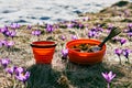 Dinner tourist at camping , a folding plate and a cup on the grass among the crocus flowers on the background of the sunset