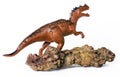 Dino poop called Coprolite Royalty Free Stock Photo