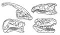 Dinosars skulls line hand drawn sketch image set. Carnivorous and herbivorous fossils collection of images. Vector illustration Royalty Free Stock Photo