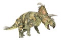 Dinosaur Albertaceratops isolated on white background Royalty Free Stock Photo