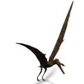 Dinosaur Anhanguera Pterosaur