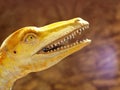 Dinosaur animal reptile figure colorful painted head