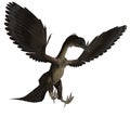 Dinosaur Archaeopteryx Royalty Free Stock Photo