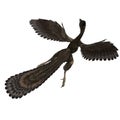 Dinosaur Archaeopteryx