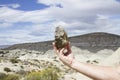 Dinosaur bone fragment, La Leona Petrified Forest, Argentina Royalty Free Stock Photo