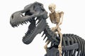 Dinosaur bone with rider Royalty Free Stock Photo