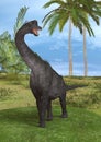 Dinosaur Brachiosaurus Royalty Free Stock Photo
