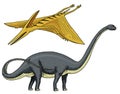 Dinosaur Brachiosaurus or sauropod, Plateosaurus, Diplodocus, Apatosaurus, Pterosaur, skeletons, fossils, winged lizard Royalty Free Stock Photo