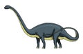 Dinosaur Brachiosaurus or sauropod, Plateosaurus, Diplodocus, Apatosaurus, skeletons, fossils, winged lizard. American Royalty Free Stock Photo