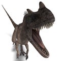 Dinosaur Ceratosaurus Royalty Free Stock Photo