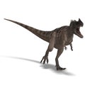 Dinosaur Ceratosaurus Royalty Free Stock Photo