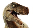 Dinosaur Closeup