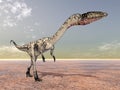 Dinosaur Coelophysis Royalty Free Stock Photo