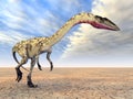 Dinosaur Coelophysis Royalty Free Stock Photo