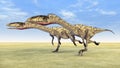 Dinosaur Coelophysis Royalty Free Stock Photo