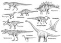 Dinosaur collection, illustration, drawing, engraving, ink, line art, vector Royalty Free Stock Photo