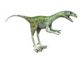 Dinosaur Compsognathus Royalty Free Stock Photo