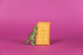 Dinosaur and crackers against a purple background. Rectangular crispy crackers. Green miniature of a predatory animal standing on