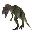 Dinosaur Cryolophosaurus Royalty Free Stock Photo
