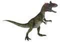 Dinosaur Cryolophosaurus Royalty Free Stock Photo