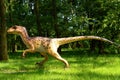 Dinosaur Deinonych, Deinonychus antirrhopus in jurassic park Royalty Free Stock Photo