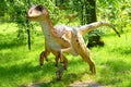 Dinosaur Deinonych, Deinonychus antirrhopus in jurassic park Royalty Free Stock Photo