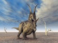 Dinosaur Diabloceratops Royalty Free Stock Photo