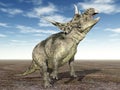 Dinosaur Diabloceratops Royalty Free Stock Photo