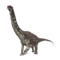 Dinosaur Diamantinasaurus Royalty Free Stock Photo