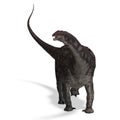 Dinosaur Diamantinasaurus Royalty Free Stock Photo