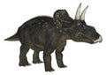 Dinosaur Diceratops Royalty Free Stock Photo